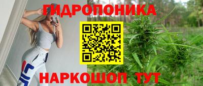 шишки Шахты