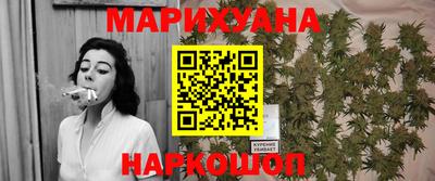 шишки Шахты